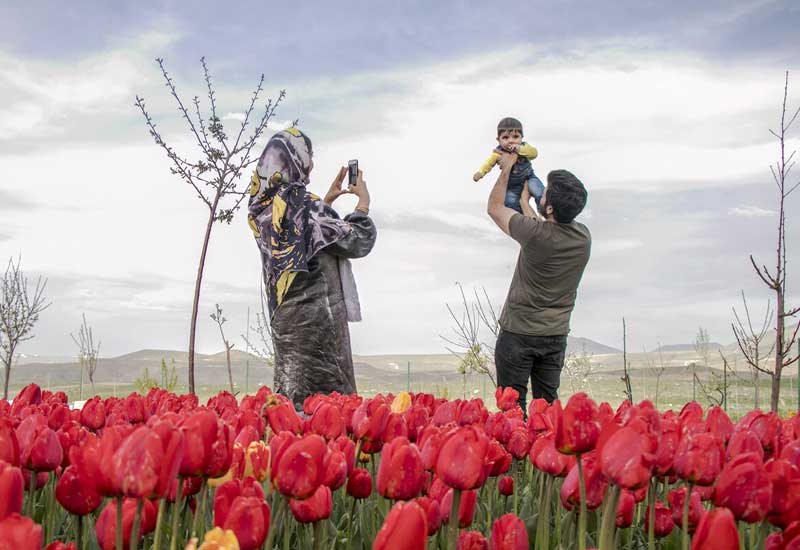 Təbrizdə parka Məhəmməd Füzulinin adı verilib